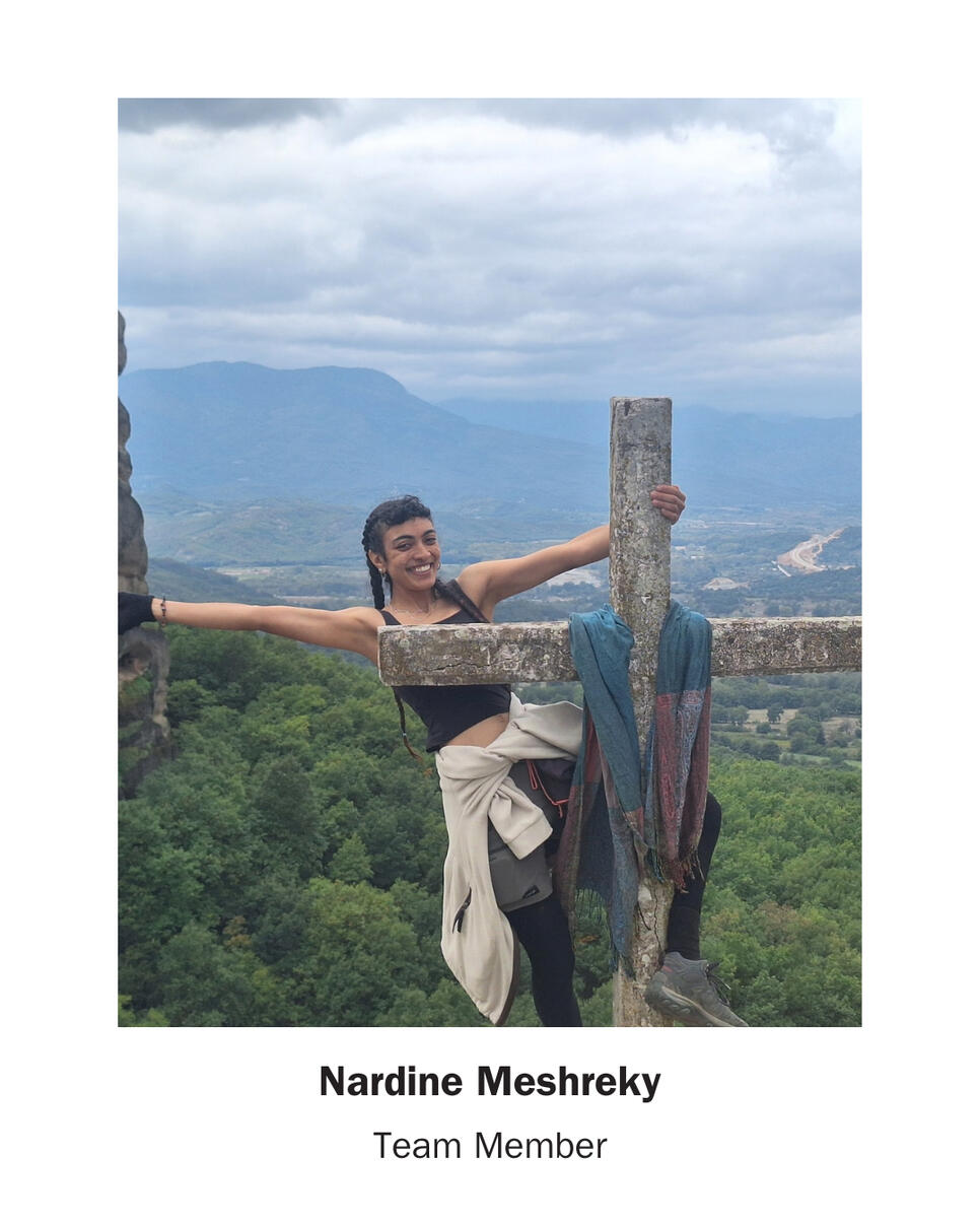 Nardine Meshreky Nardine Meshreky
